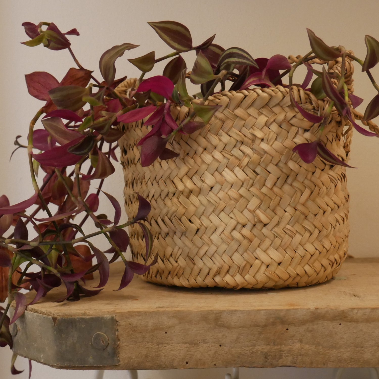 Sea Grass Hanging Basket Medium